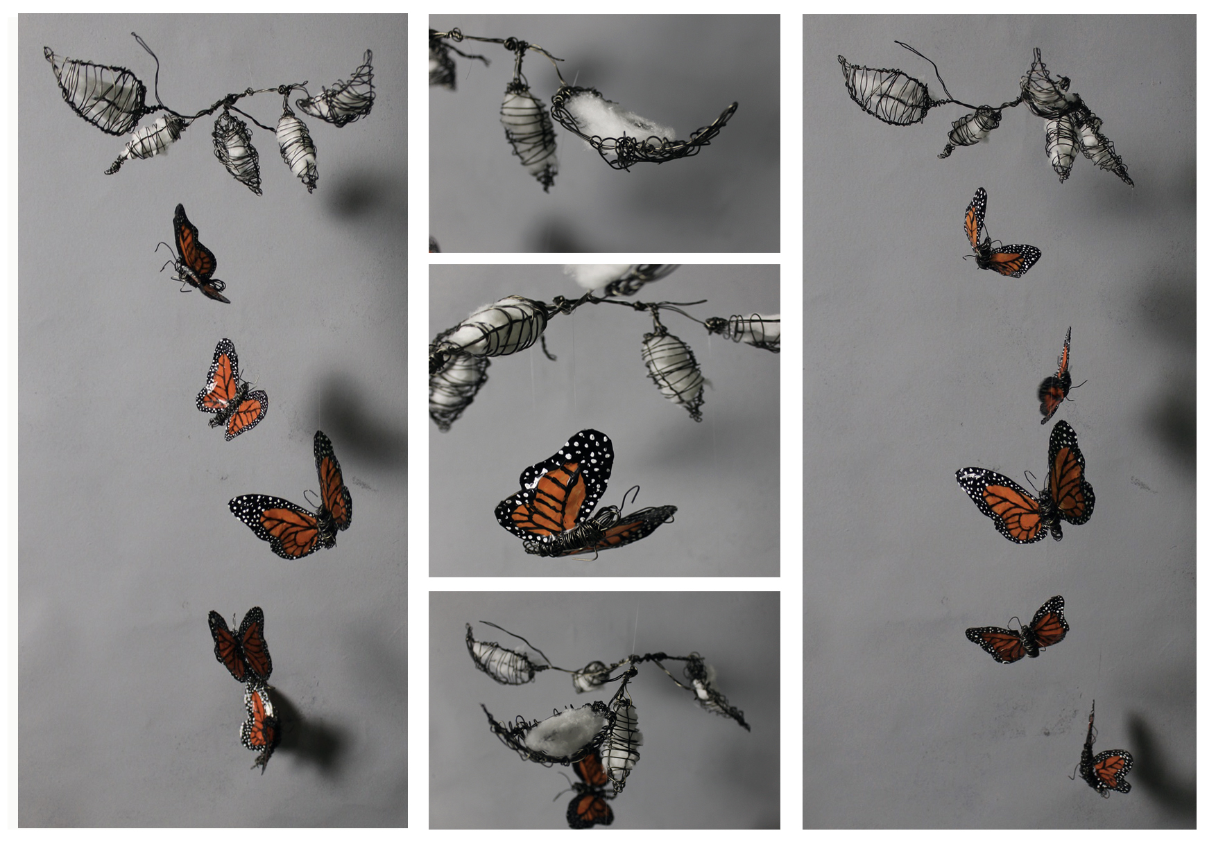 "Monarch and Milkweed" Natasha Carothers Wire, Cotton, Fishing Line, Clear Tape, Nail Polish, Acrylic Paint 12th, FAHS NFS