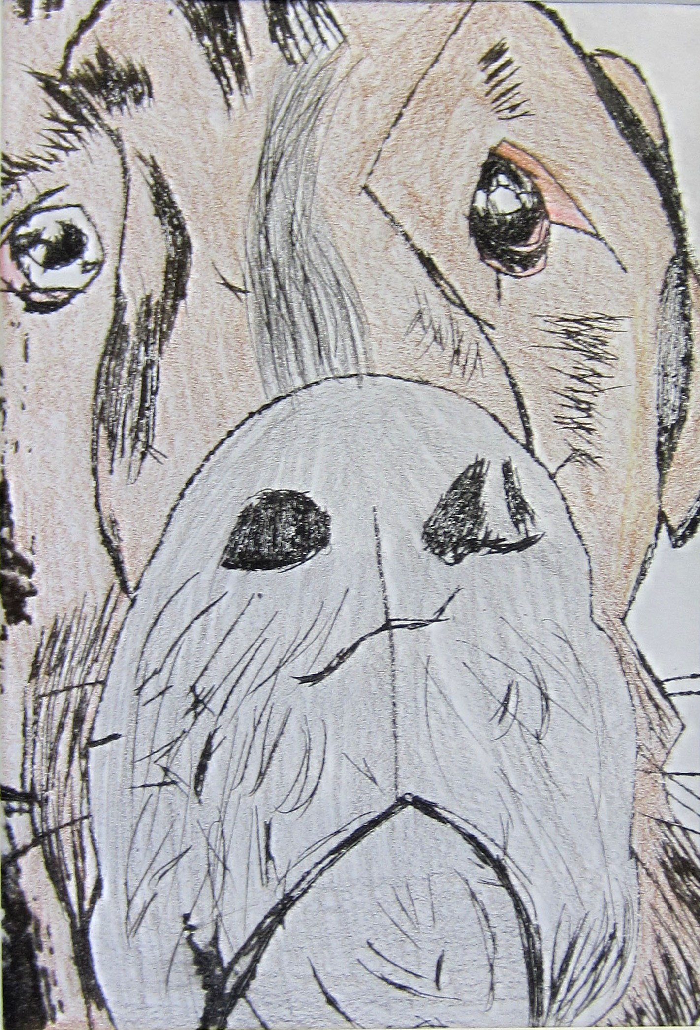 “Dozer” Rhea W. Printmaking and Colored Pencil 8th, FAMS NFS
