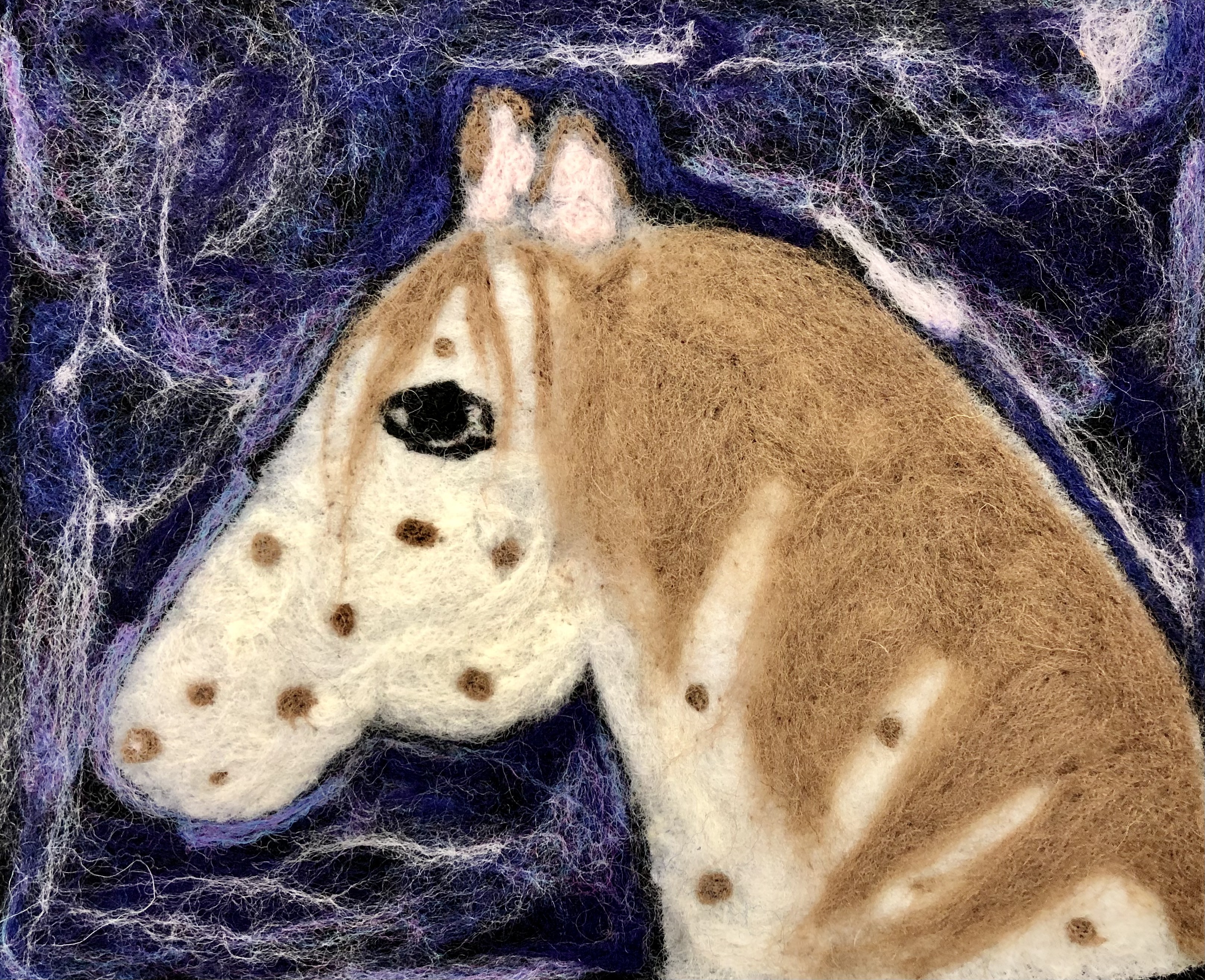 “Midnight Horse”, Catherine Burkhalter, Fibers, 7th, FAMS, NFS
