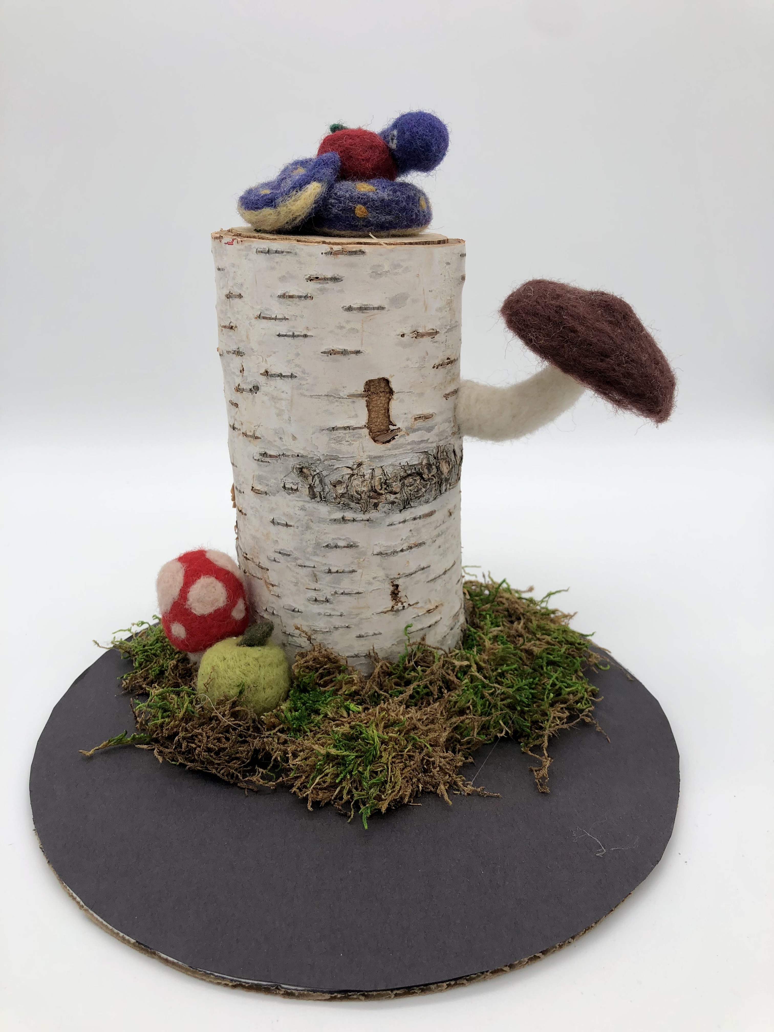 “Stiff the Snake”, Mia Oakley, Mixed Media, 7th, FAMS, NFS