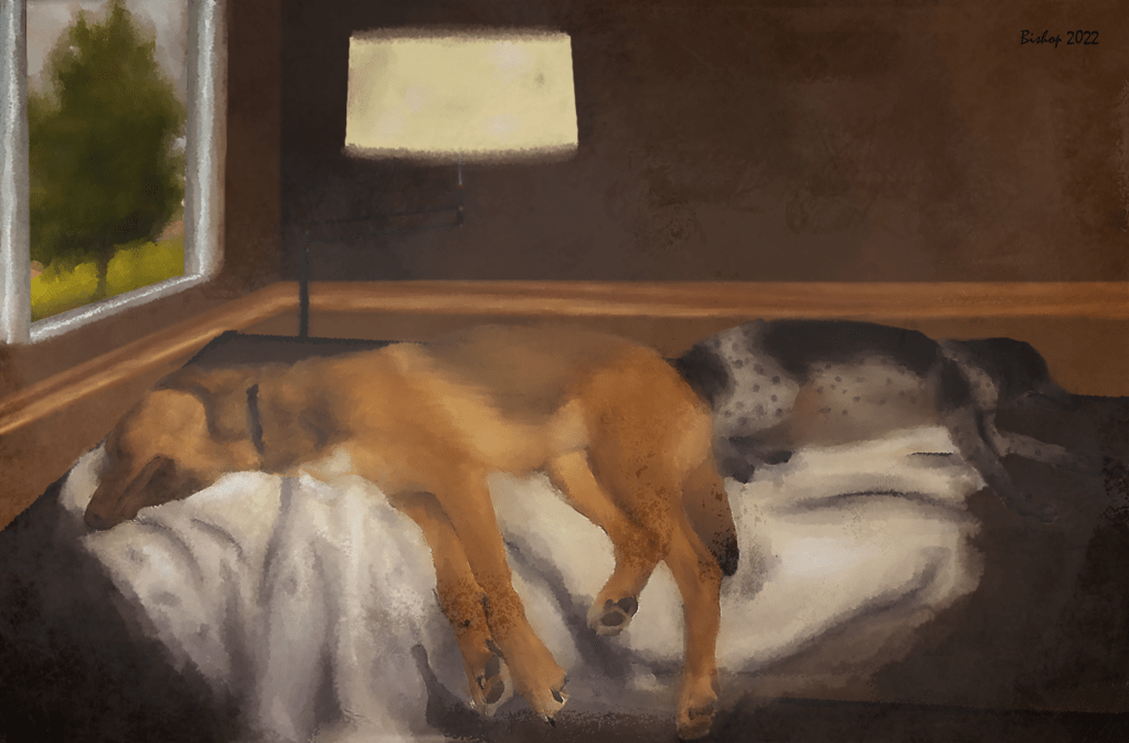 "Sleepy after John Rossini," Peyton Bishop, 9 FAHS, Adobe Photoshop Digital Print, Mr. Korb.