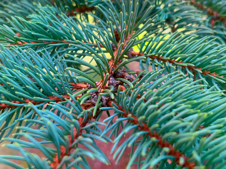 Tiny World Karuna Rabe 11 Photography FAHS $26