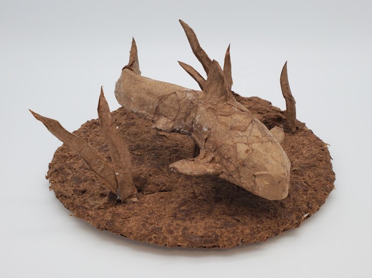 "Reef Roamer," Brianna Hibbs, Carboard, 8th Grade, FAMS, $50