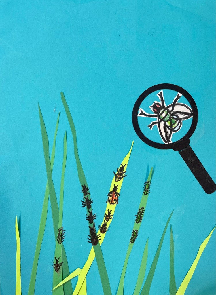 Bugs Up Close Evelyn Lindsey 1 Mixed Media Purdy NFS