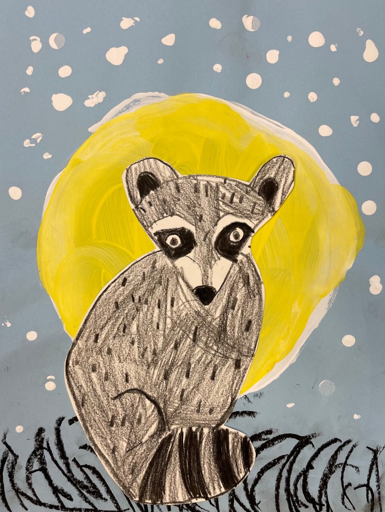The Nightime Raccoon Haley Boyd K Mixed Media Purdy NFS