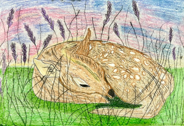 "Hidden Within the Grass", Addison Edwards, Intaglio Print & Colored Pencil, 8th, FAMS, $40.00