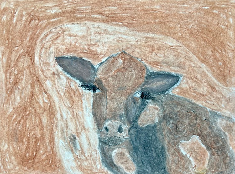 "Brownie" Leyla Yavuzcetin, Oil Pastel, 4th, Luther, NFS
