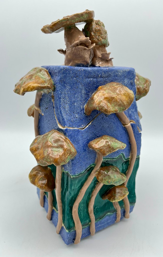 "Boletus Edulis ", Sarah Webster, Ceramics, 7th, FAMS, NFS